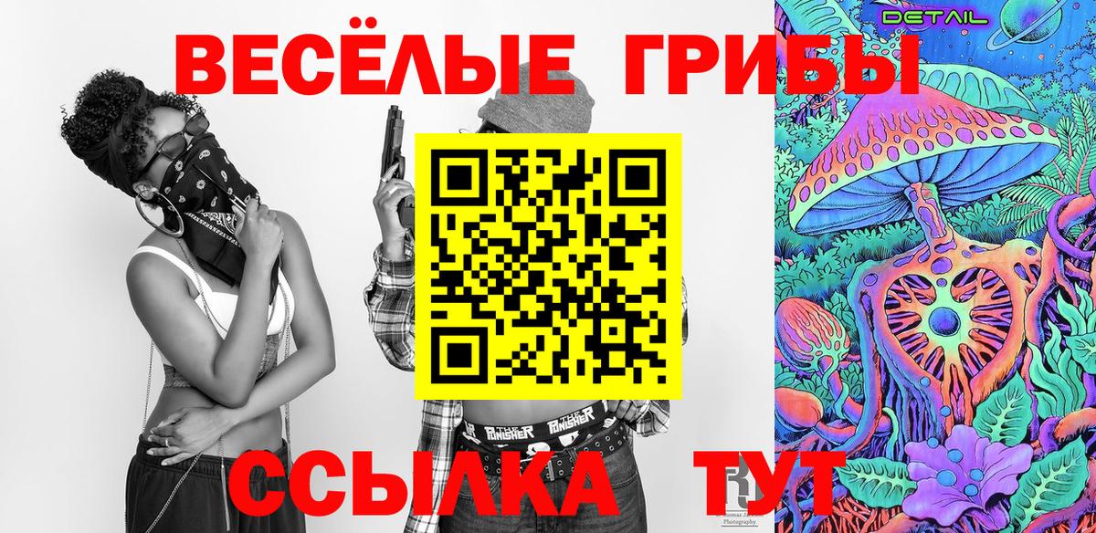 Псилоцибиновые грибы Cubensis Орск