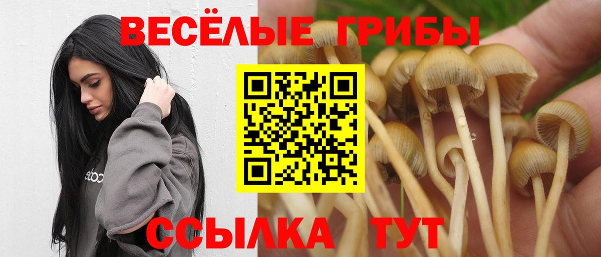 Псилоцибиновые грибы прущие грибы  Вход с VPN  Орск 